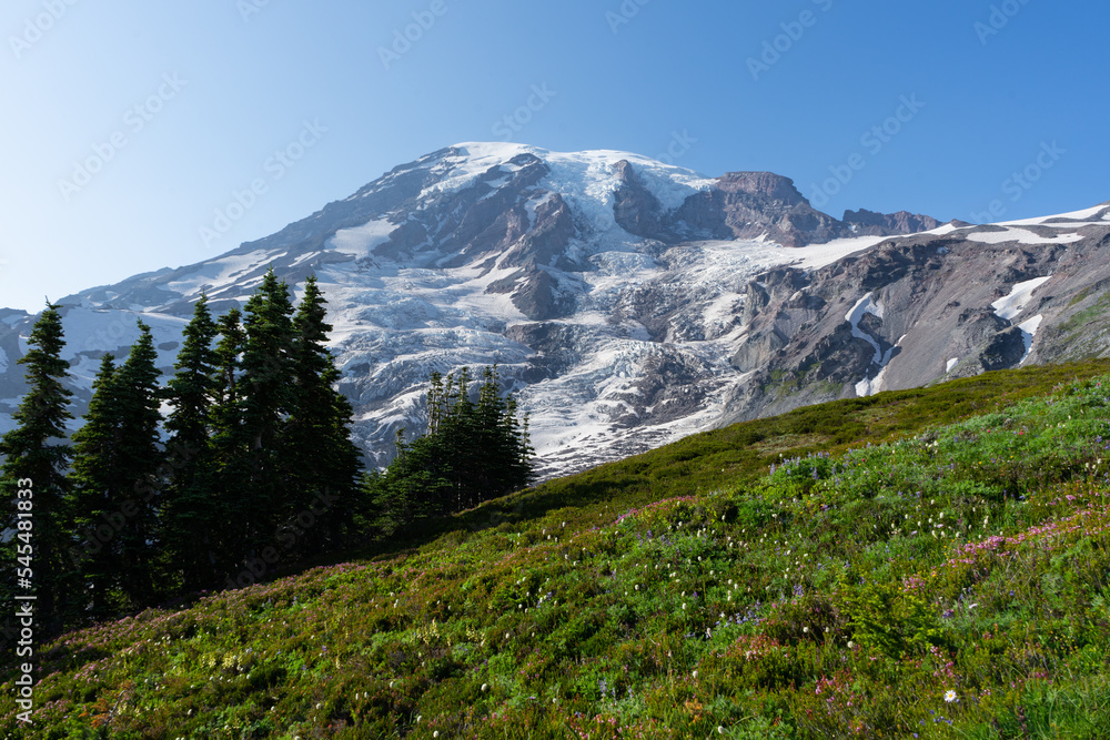 Wildflowers in front of Mount Rainier