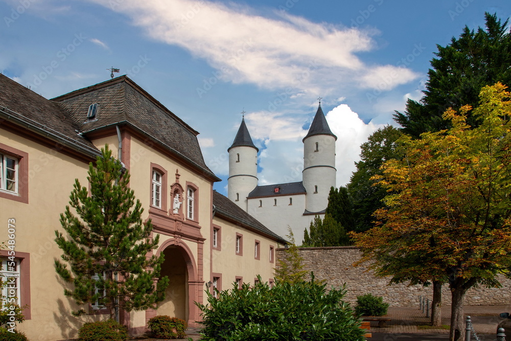 Salvatorianerkloster Steinfeld