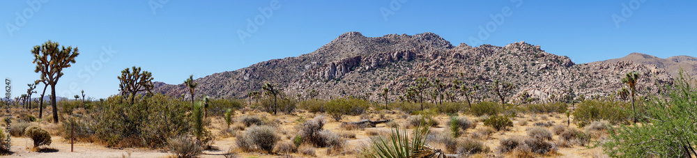 Desert mountain panorama