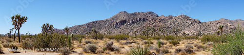 Desert mountain panorama