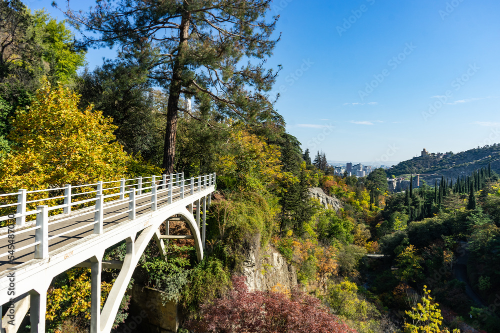 Autumnal Tbilisi's botanical garden