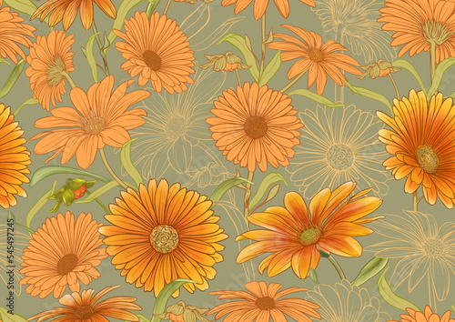 Calendula medicinal herbs and flowers seamless pattern, background. Vector illustration.