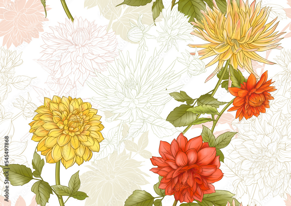 Dahlias flowers, outline and coloured style Seamless pattern, background. Vector illustration. In botanical style