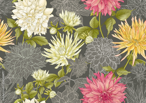 Dahlias flowers, outline and coloured style Seamless pattern, background. Vector illustration. In botanical style