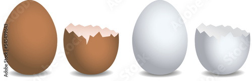 Set of realistic eggs. Large egg and cracked egg. Vector realistic eggs on an isolated background. EPS 10