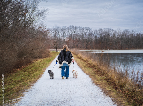 Mature woman in poncho taking her two small dogs for a walk in Midwestern park  on cloudy winter day along trail lightly covered with snow