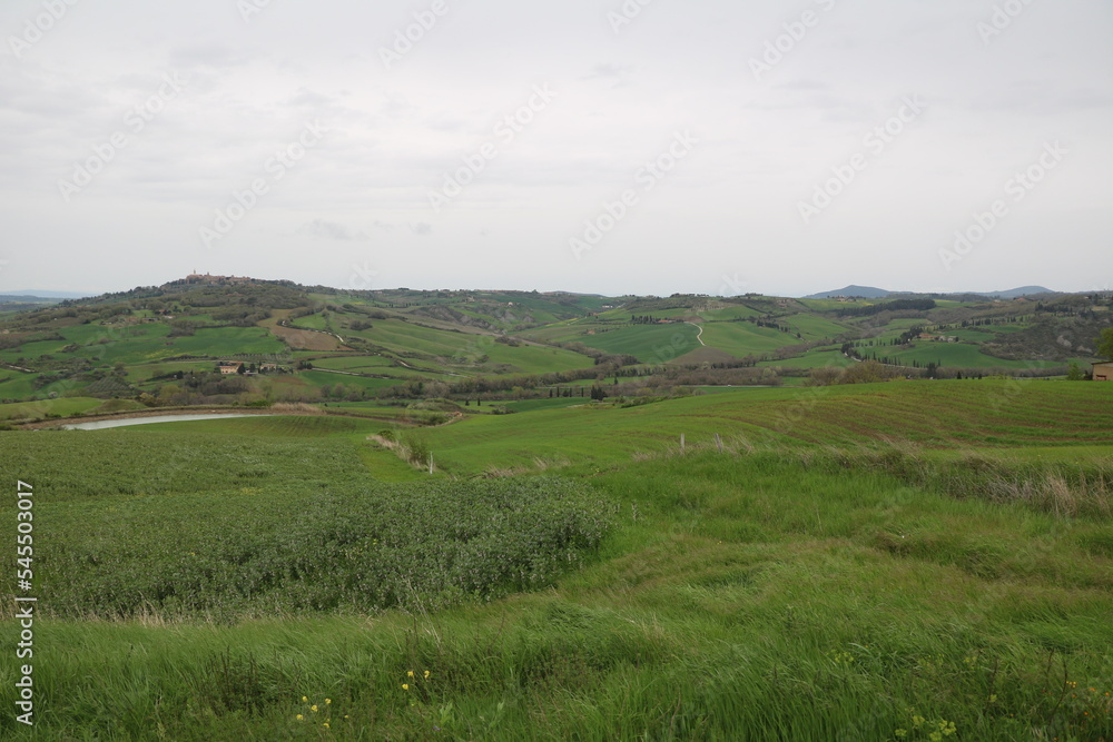 Green Tuscany landscape in spring, Italy