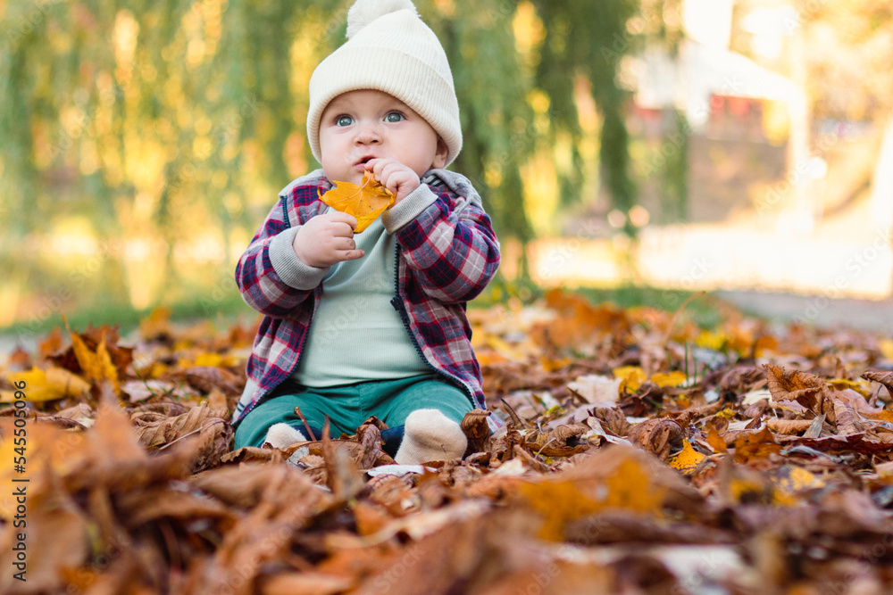 Little cute baby boy have fun outdoors in the park in autumn time Little cute baby boy have fun outdoors in the park in autumn time