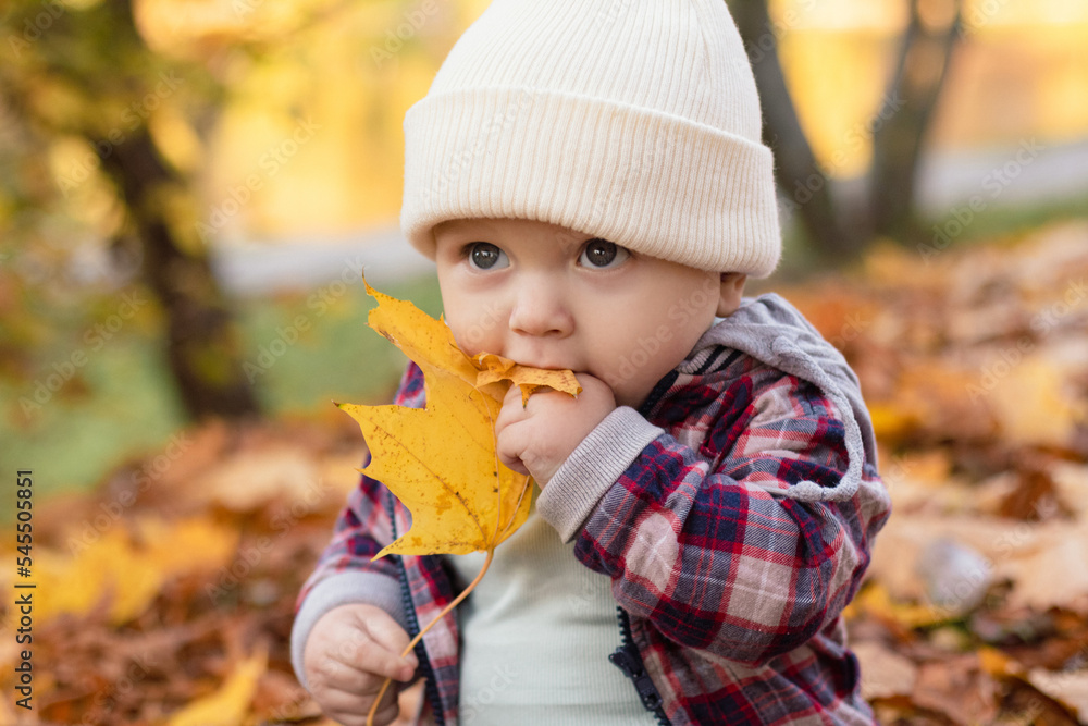 Little cute baby boy have fun outdoors in the park in autumn time Little cute baby boy have fun outdoors in the park in autumn time