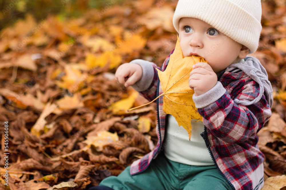 Little cute baby boy have fun outdoors in the park in autumn time Little cute baby boy have fun outdoors in the park in autumn time