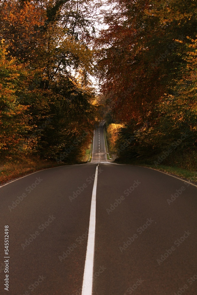 Fototapeta premium Døndalen Bornholm Road near the coastline, on the Danish vacation Island. 