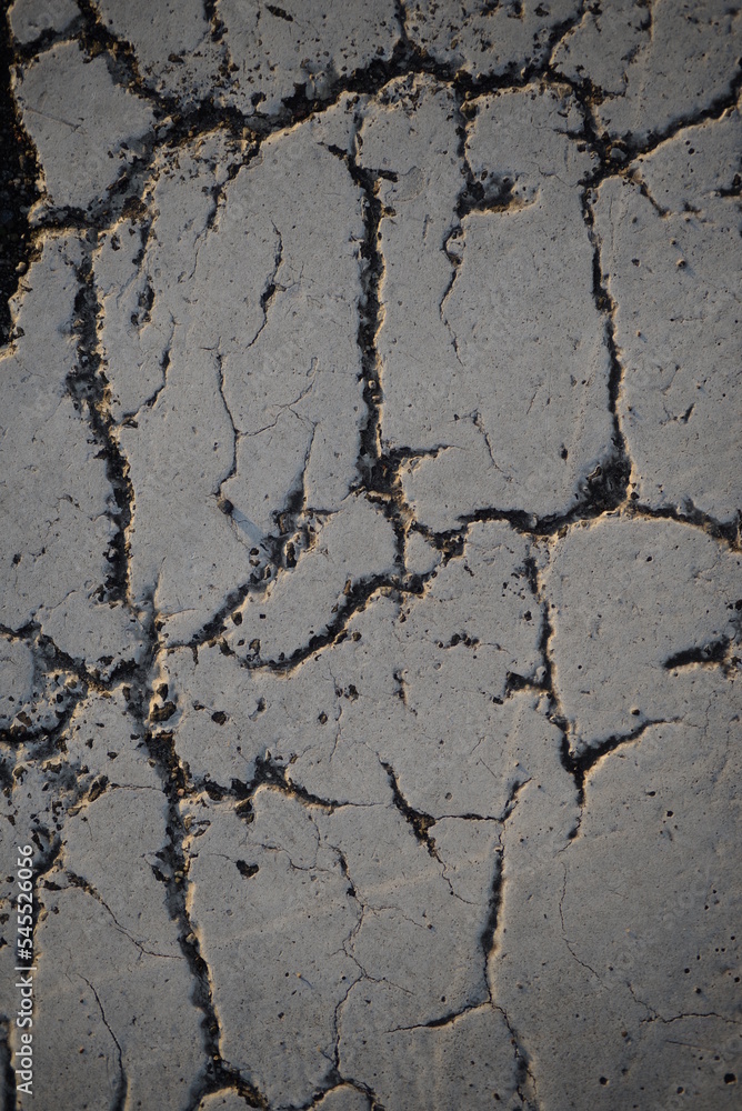 Obraz premium texture of white paint for road marking on asphalt, texture of painted asphalt cracked texture white background, white background on gray asphalt, pedestrian crossing, new road marking close up