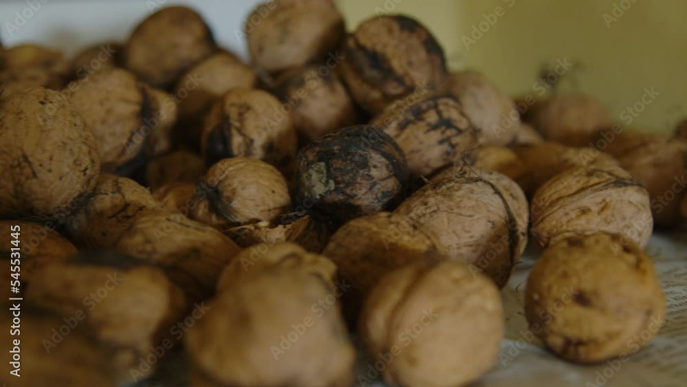 bunch of walnuts drying on oven bunch of walnuts drying on oven