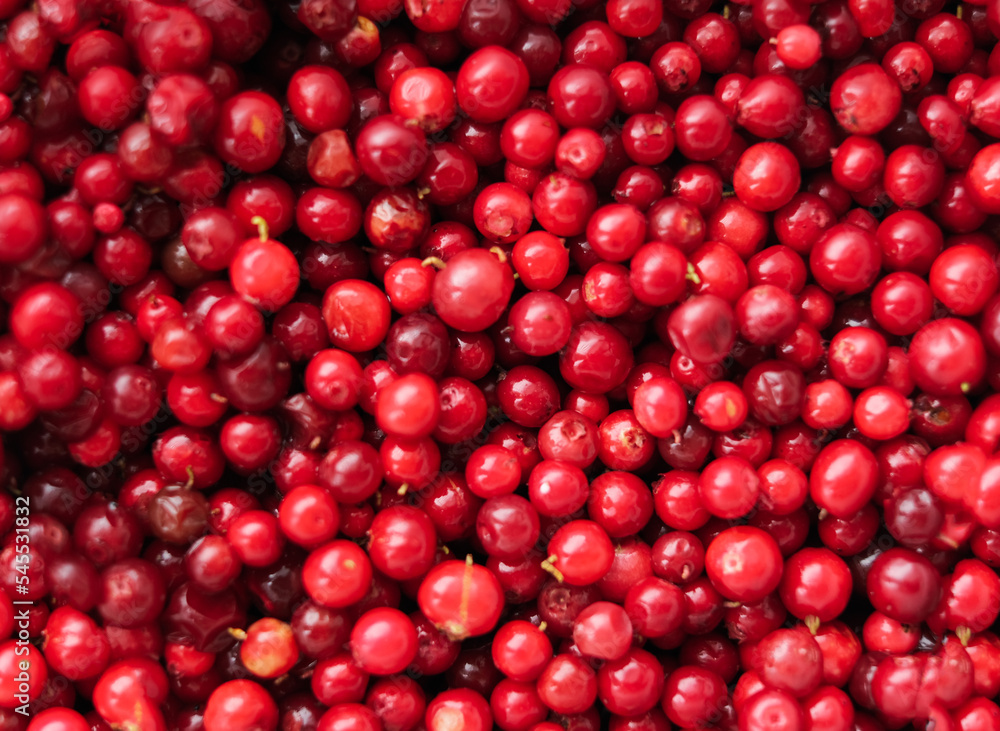 Close-up texture of cowberry berries. Natural background. Close-up texture of cowberry berries. Natural background.