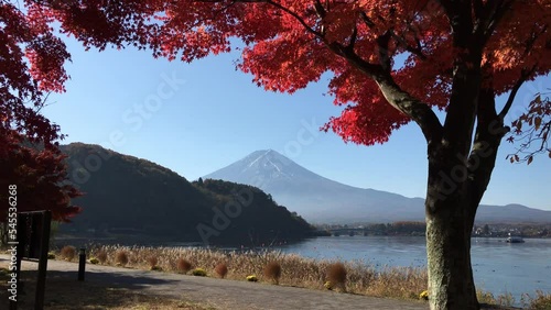 紅葉したモミジと河口湖と富士山