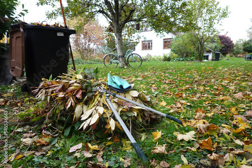 Biotonne und Schnittgut auf dem Rasen photo