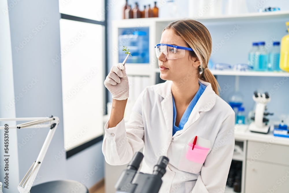Young hispanic woman scientist holding plant sample with tweezer at laboratory Young hispanic woman scientist holding plant sample with tweezer at laboratory