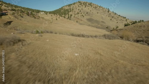 Mountain Meadow Aerial in Colorado