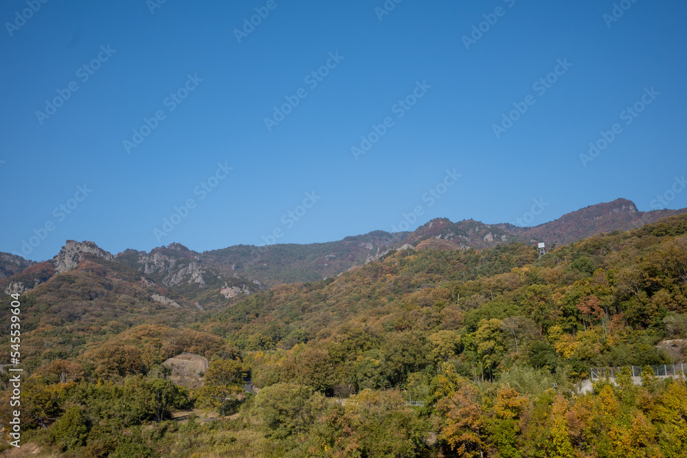 日本の香川県小豆島のとても美しい秋の紅葉