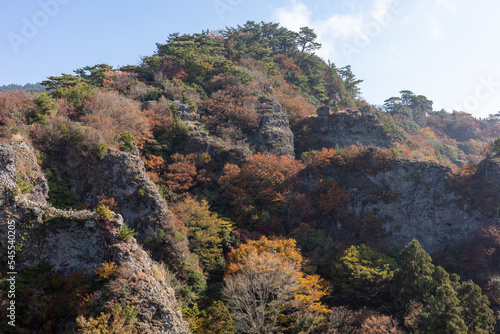 日本の香川県小豆島のとても美しい秋の紅葉 © 仁 藤原