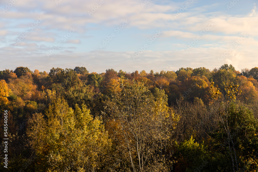 Autumn season in the park, the foliage