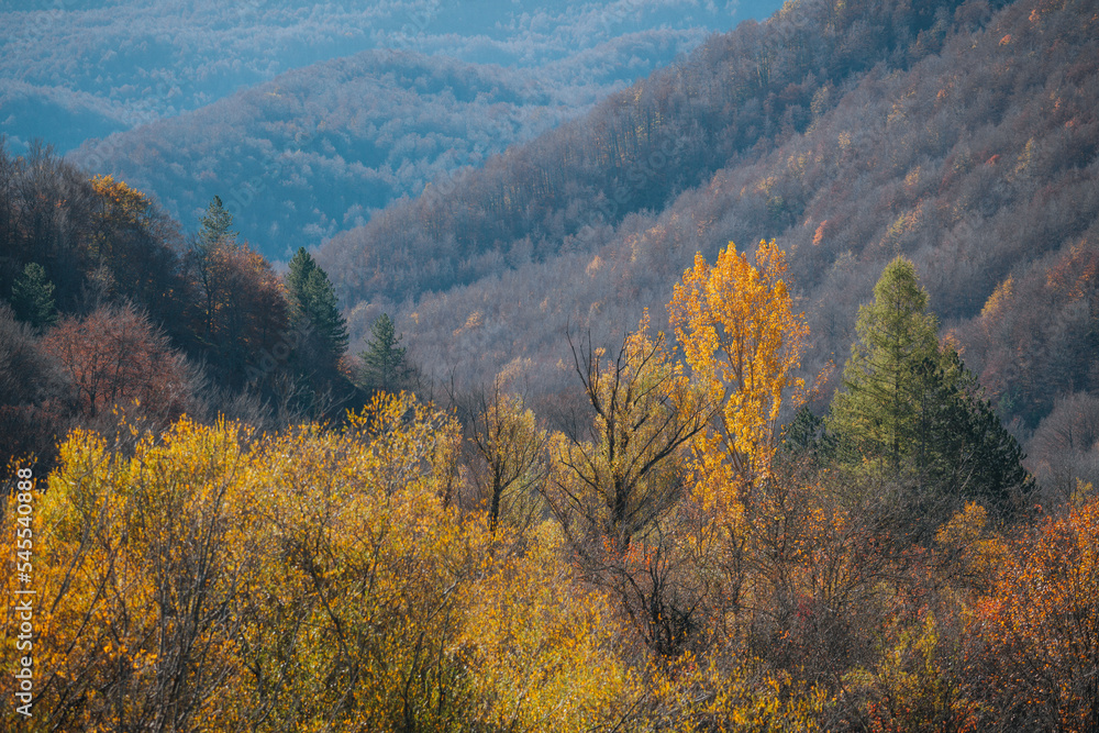 colorful autumn foliage Parco Nazionale Abruzzo Italy