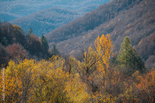 colorful autumn foliage Parco Nazionale Abruzzo Italy © ronnybas