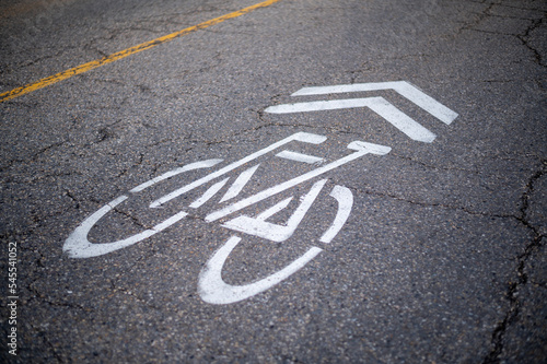 Painted cycling share the road signage pavement marking