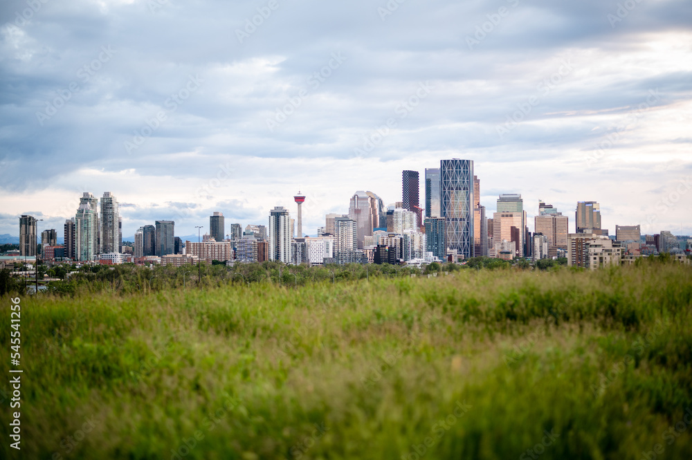 Calgary skyline in summer with natural grass foreground