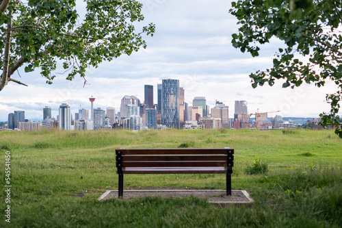 Bench in park with Calgary skyline