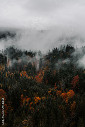 Autumn mountains in the fog, Tyrol, Austria. Incredible cloud-covered mountain scenery in overcast weather. A gray autumn mood in the mountains © irengorbacheva