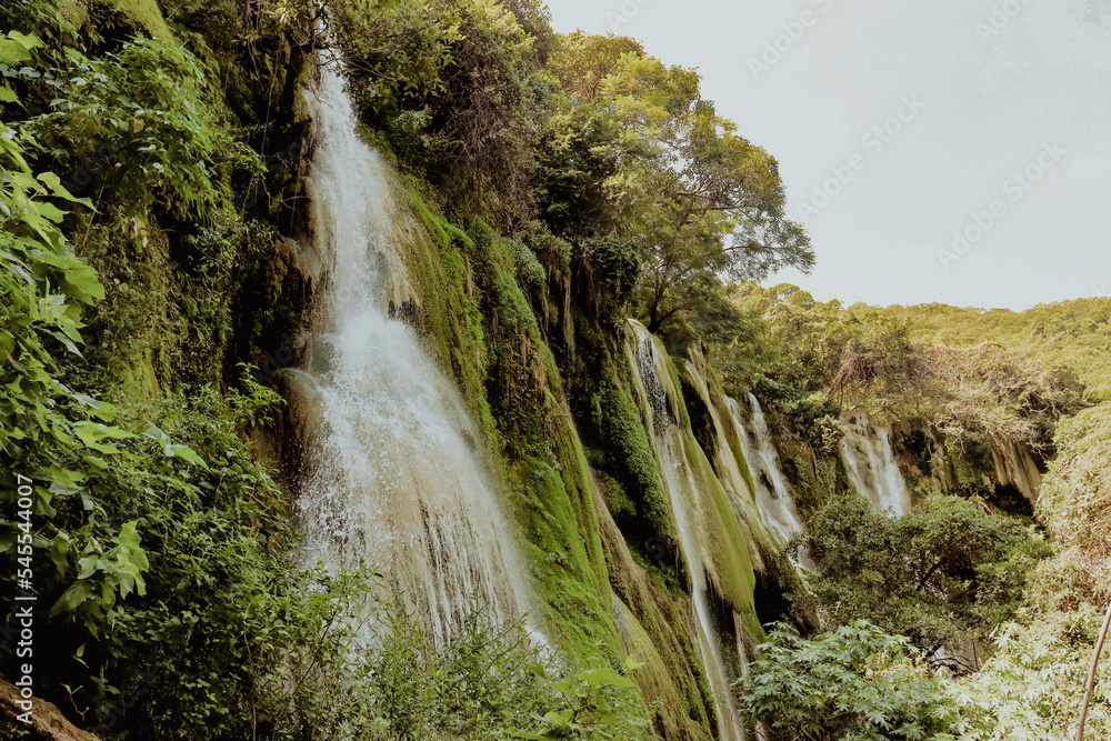 Obraz premium Cascada verde