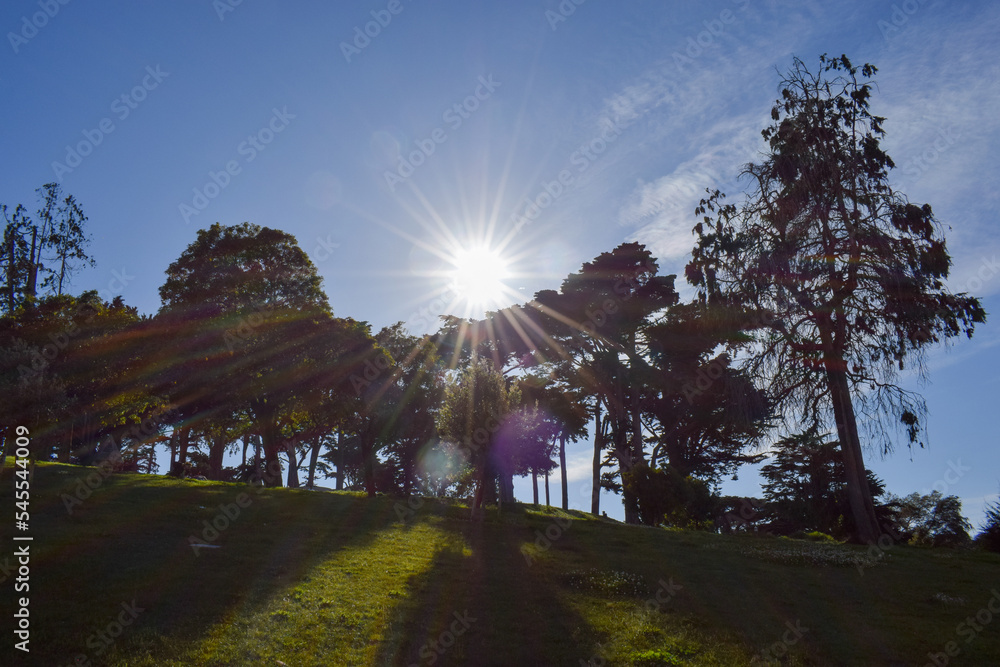Obraz premium Park in San Francisco, CA.