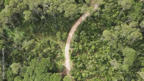 Aerial view of a forest road on Monsanto hill, Lisbon, Portugal. photo