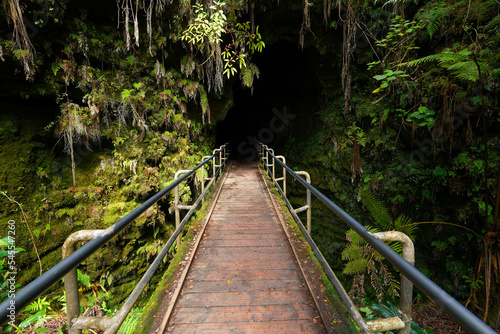 Bridge surrounded by ferns leading into the Thurston lava tube in the Kilauea crater in the Hawaiian Volcanoes National Park on the Big Island of Hawai i in the Pacific Ocean