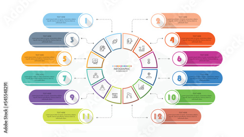 Basic circle infographic with 12 steps, process or options.