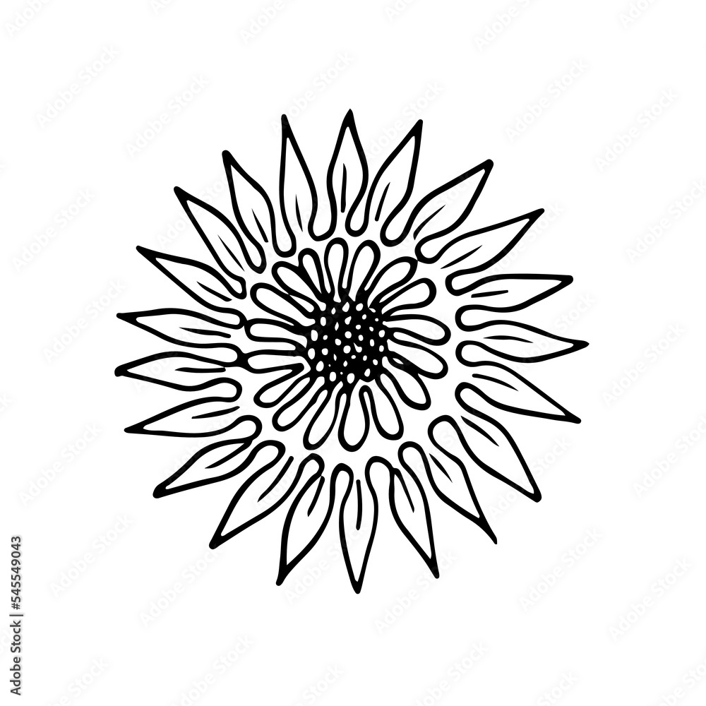 wild flowers, dooddle, lineart, vector, illustration, hand drawing wild flowers, dooddle, lineart, vector, illustration, hand drawing