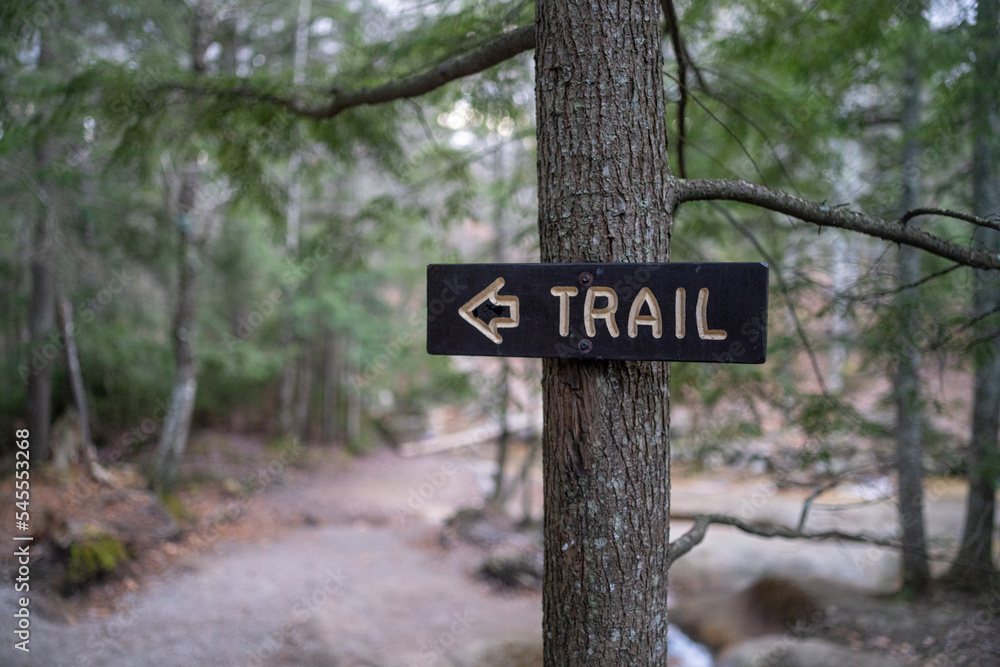 sign in the forest