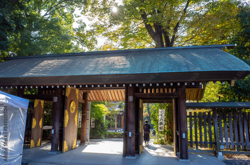 Naklejka premium 駒沢オリンピック公園