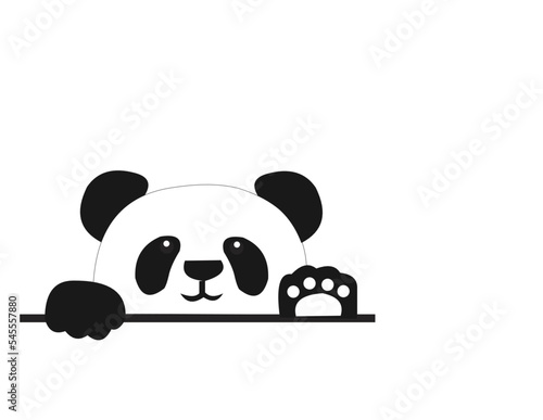 panda is an animal that is identical to the black and white color that comes from the country of the bamboo curtain. Most of the panda population is found in Asia. Usually these animals live in the wi