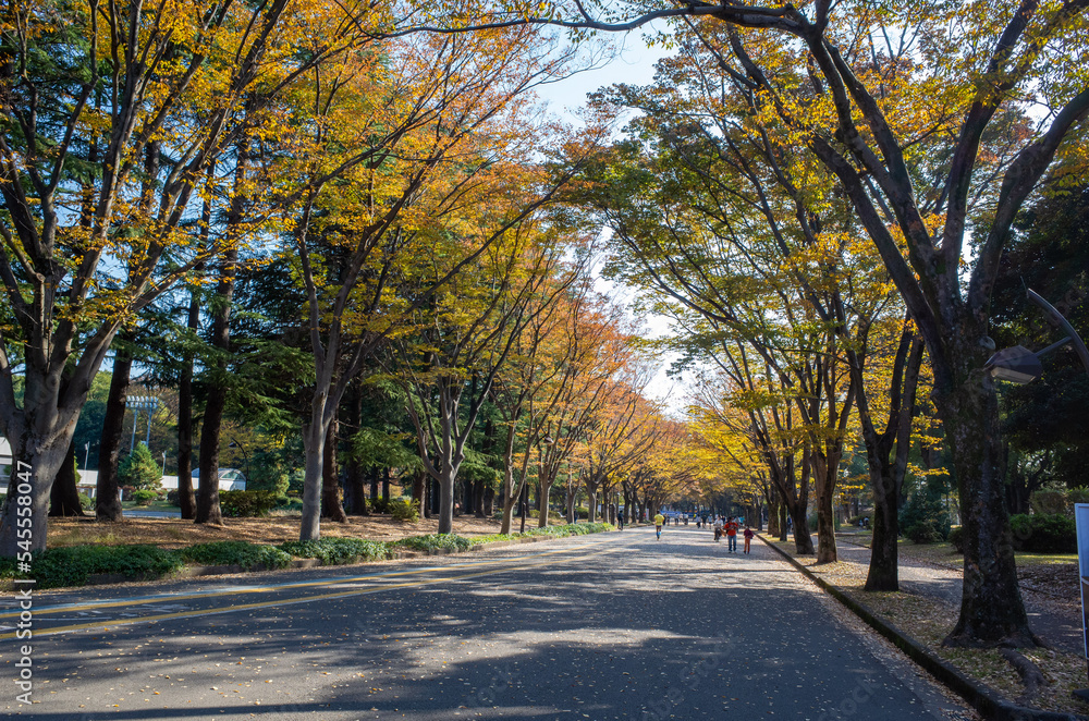 駒沢オリンピック公園 駒沢オリンピック公園