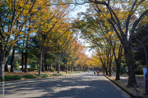 駒沢オリンピック公園 © Junichi