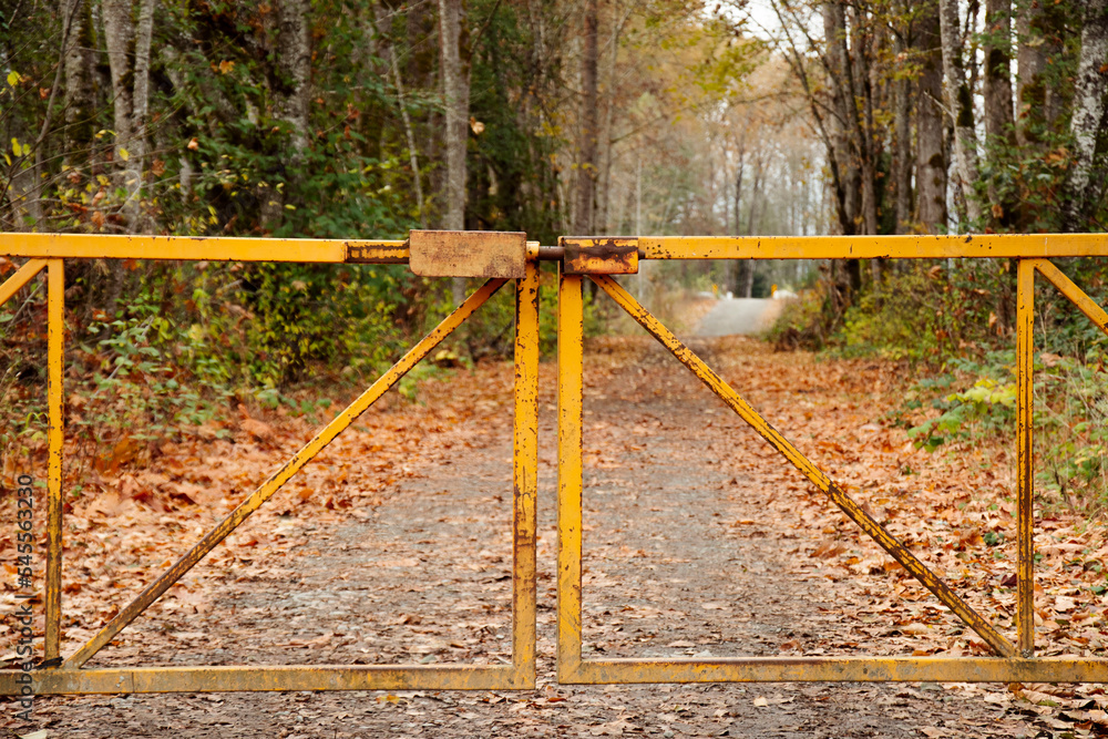 Fototapeta premium An image of a closed metal gate on a rural country road in late autumn. 