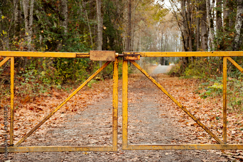 An image of a closed metal gate on a rural country road in late autumn. 