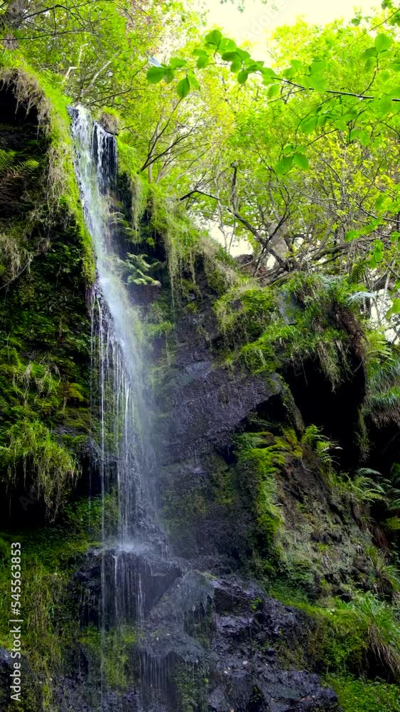 Long exposure view of the waterfalls in the autumn forest, UK Long exposure view of the waterfalls in the autumn forest, UK