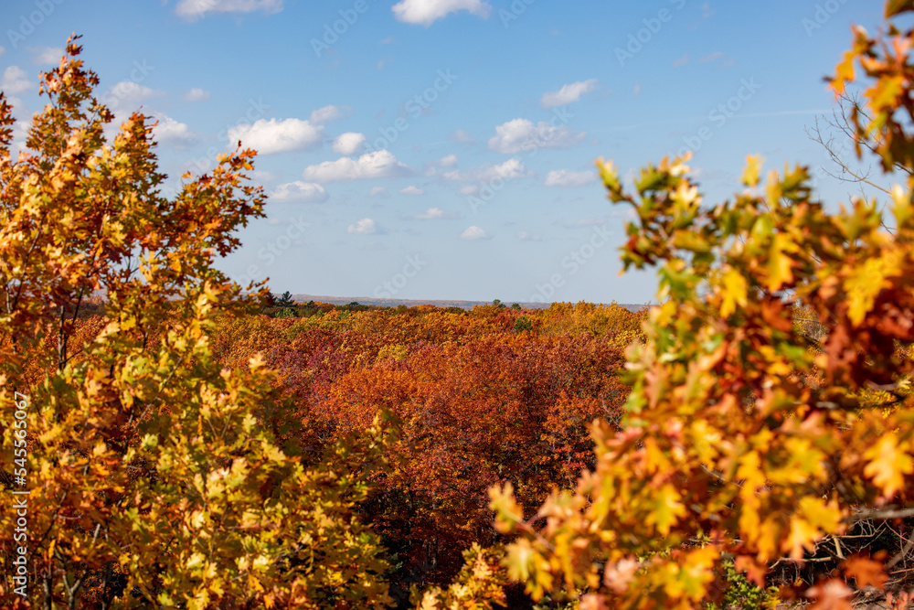 Fototapeta premium Michigan in Autumn