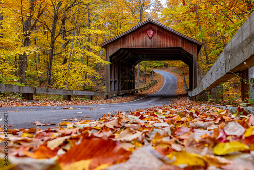 Canvastavla Michigan in Autumn