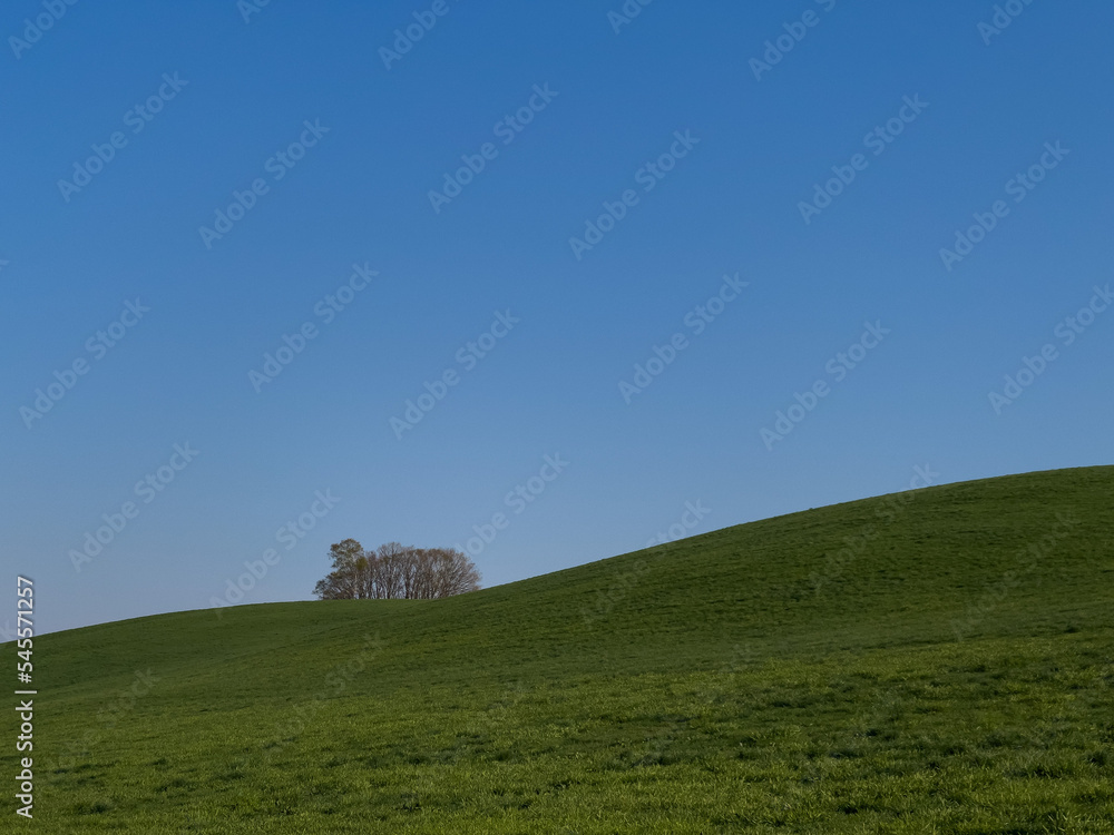 Spring meadow hills with forest Spring meadow hills with forest