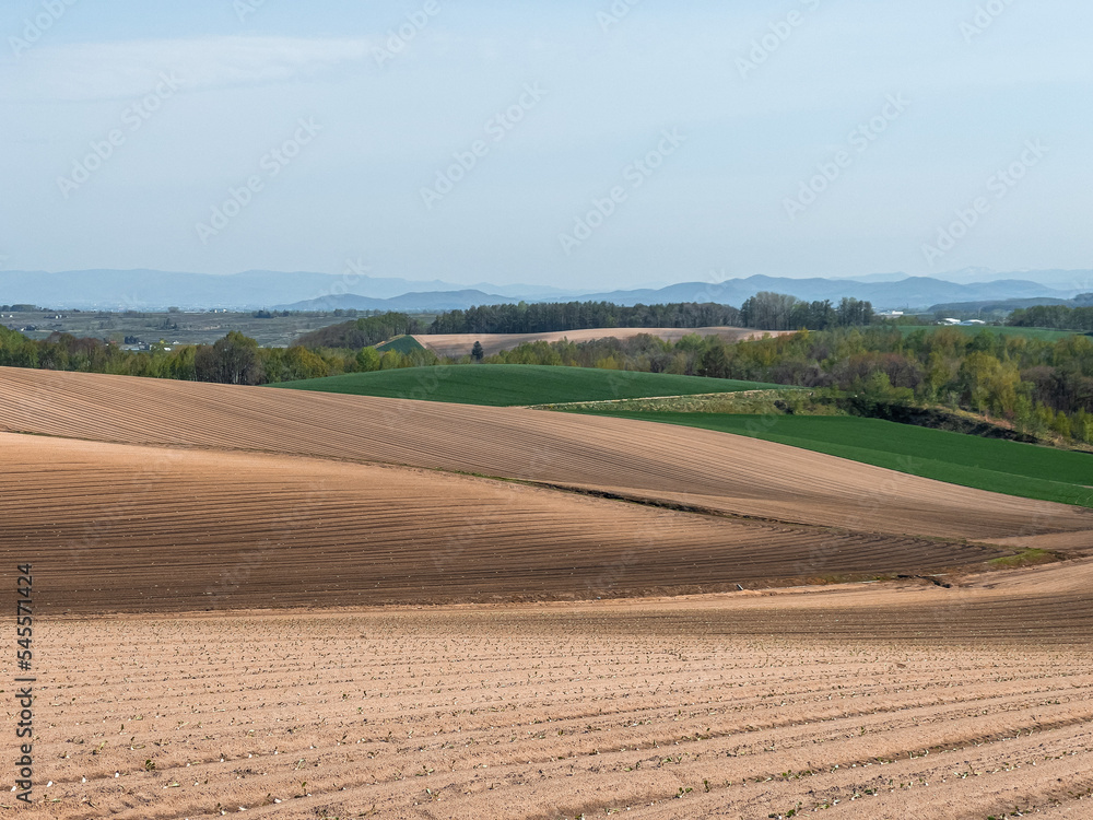 Complicated rolling hills in early spring