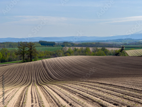 Hills in spring with ridges